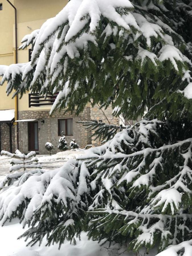 Apartament Nicolle Apartment Poiana Brasov Exterior photo