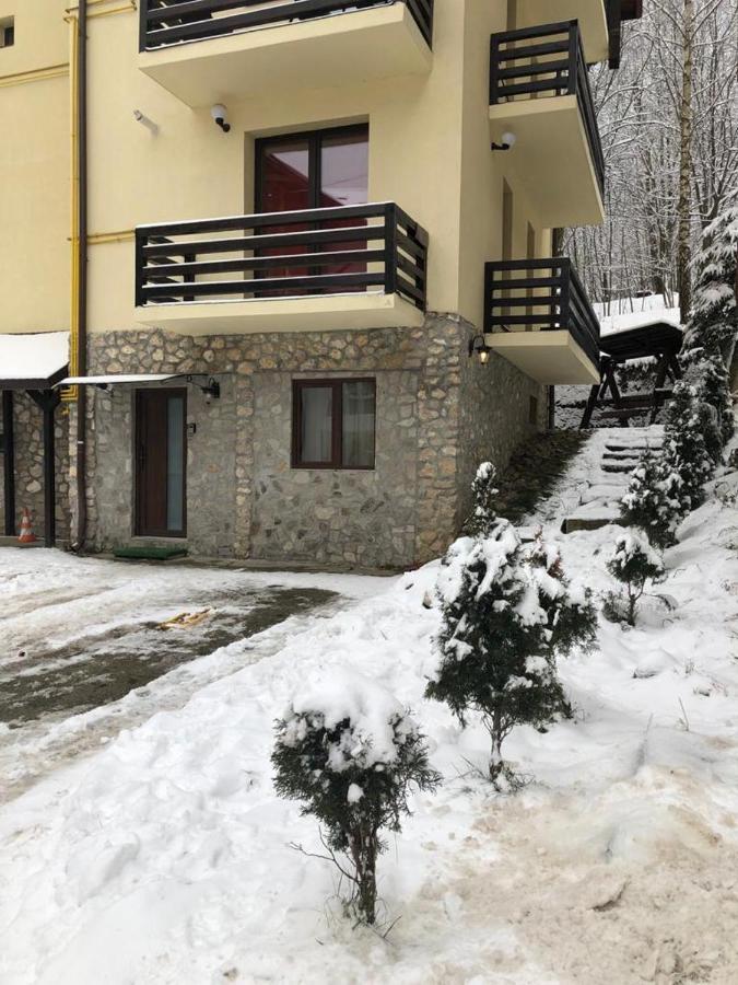 Apartament Nicolle Apartment Poiana Brasov Exterior photo